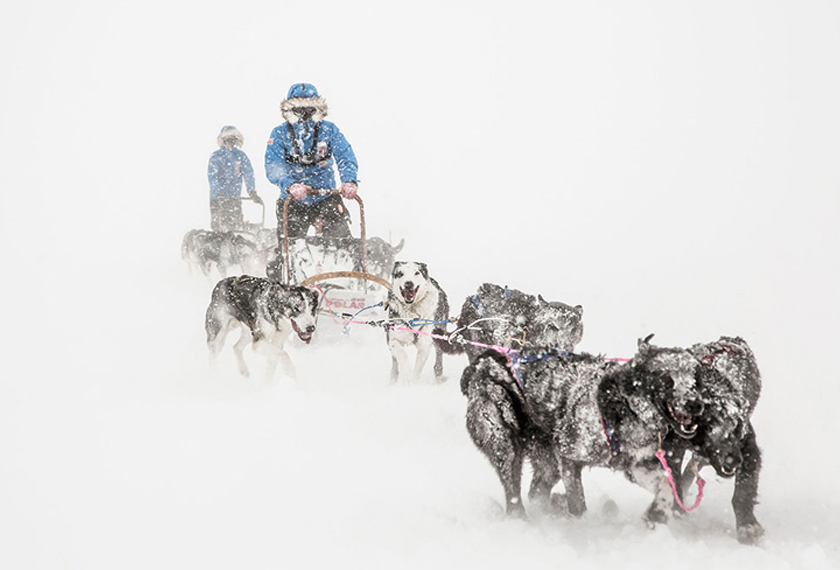 Sumber: FJÄLLRÄVEN POLAR