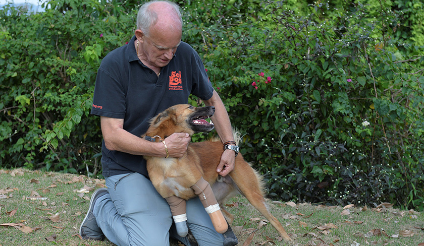 Cola sedang bermesra bersama pengasas Yayasan Anjing Soi, John Dalley, di Phuket, Thailand. - Reuters