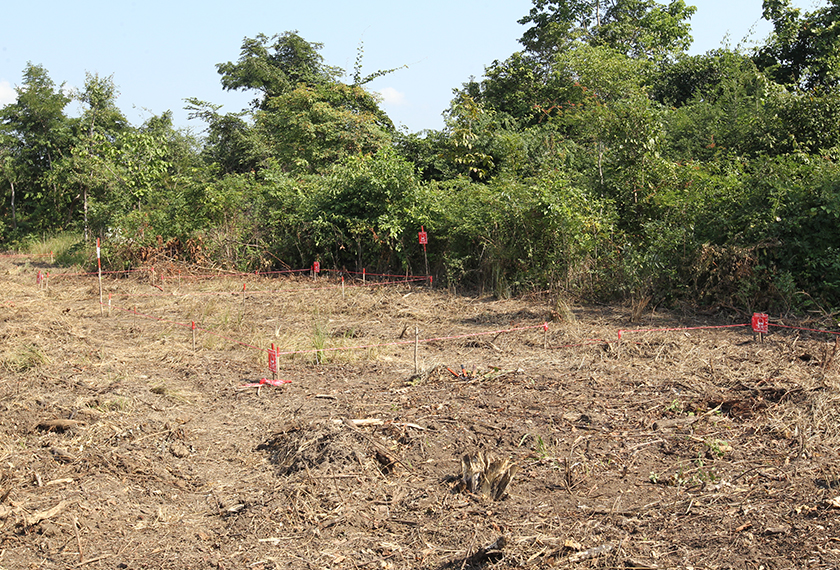 Kawasan kampung di Battambang ini diwarta penuh dengan periuk api, tetapi penduduk kampung terus menetap bagi tujuan untuk berlindung dan mencari rezeki. - Foto Astro AWANI / Azlinariah Abdullah 