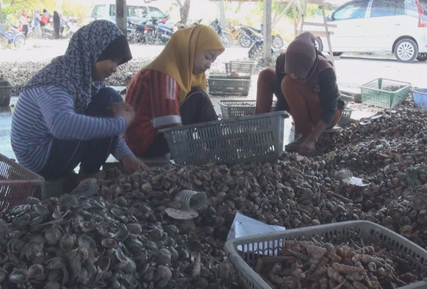 Dua beradik bersama pekerja lain mengasingkan kepah sebelum dijual di kawasan sekitar.