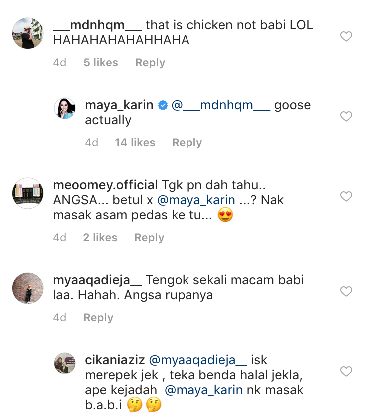 Semuanya bermula apabila ada netizen yang menyangka Maya memuat naik foto seekor babi yang sedia untuk dimasak.