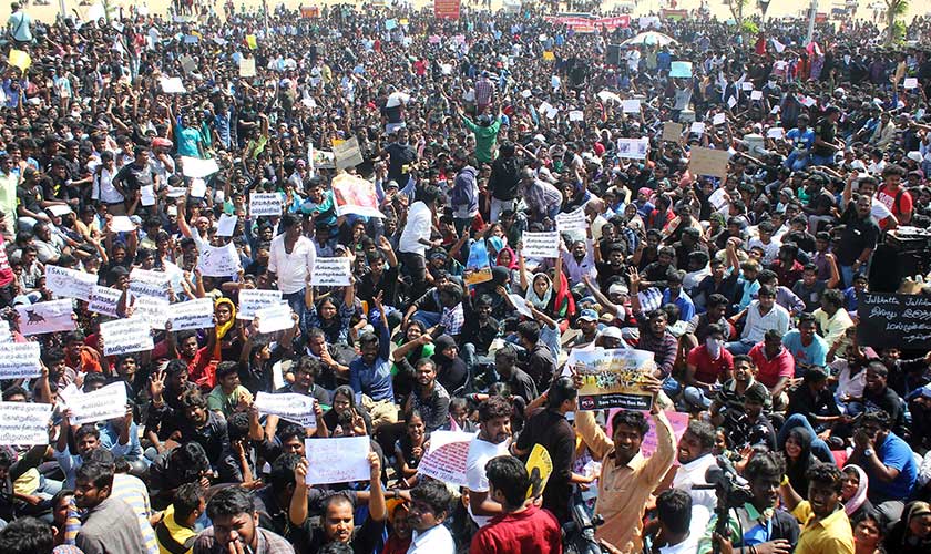 Thousands demanding permission to host the Jallikattu in Tamil Nadu and a ban on PETA. - Photo: Reuters