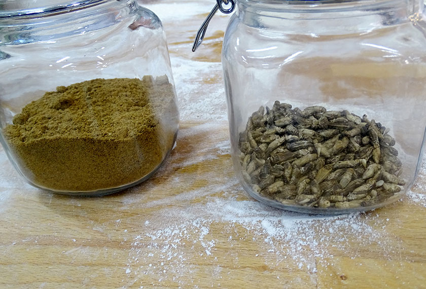 Kandungan serbuk atau tepung yang diperbuat daripada cengkerik kering yang dihancurkan. - Reuters