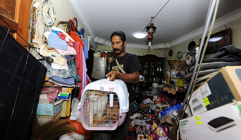 A volunteer from Kelab Sahabat Kucing Jalanan removing the cats from the house to take them to a veterinary clinic. - BERNAMA