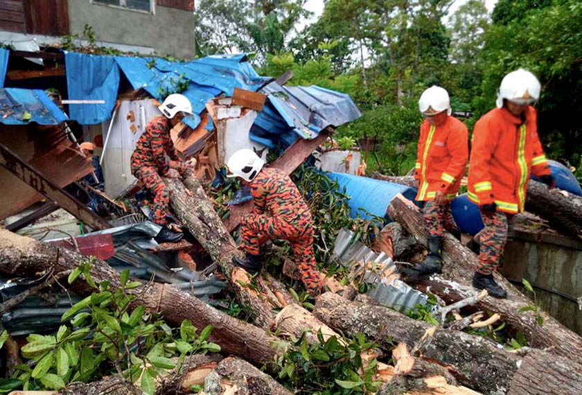 Several houses damaged by uprooted trees in Kota Kinabalu. - BERNAMA