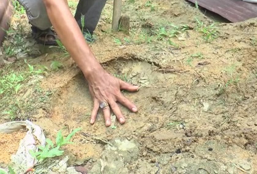 Kesan tapak kaki gajah jika dibandingkan dengan tapak tangan manusia. - Astro AWANI