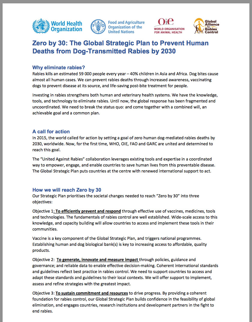 Zero by 30: The Global Strategic Plan to Prevent Human Deaths from Dog-Transmitted Rabies by 2030