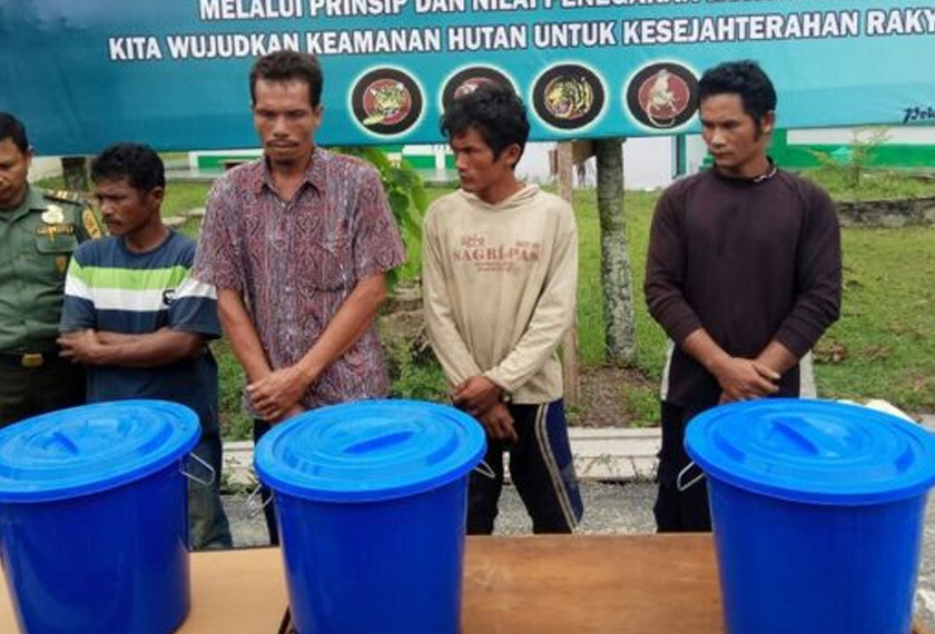 Keempat lelaki berkenaan mendakwa tidak sedar bahawa beruang madu haiwan dilindungi sepenuhnya. - Gambar BBC Indonesia