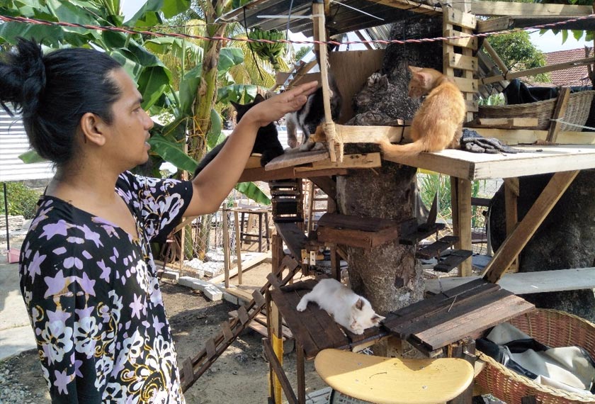 Muhammad Nor Fiqry memeriksa kucingnya di rumahnya di Lorong Seri Mahkota, Kuantan. - Astro AWANI