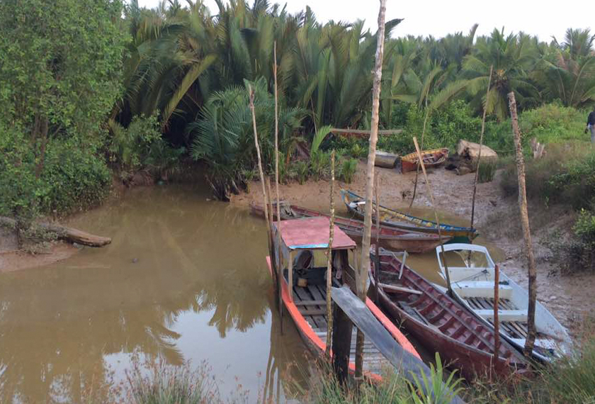 Pulau Seduku dijadikan santuari buaya.