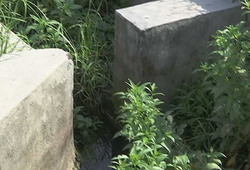 Nor'aini Adan mempersoalkan mengapa apabila kerja-kerja pembersihan longkang tidak dilakukan pada hari atau minggu yang sama dengan kerja-kerja pemotongan rumput. - Foto Astro AWANI 