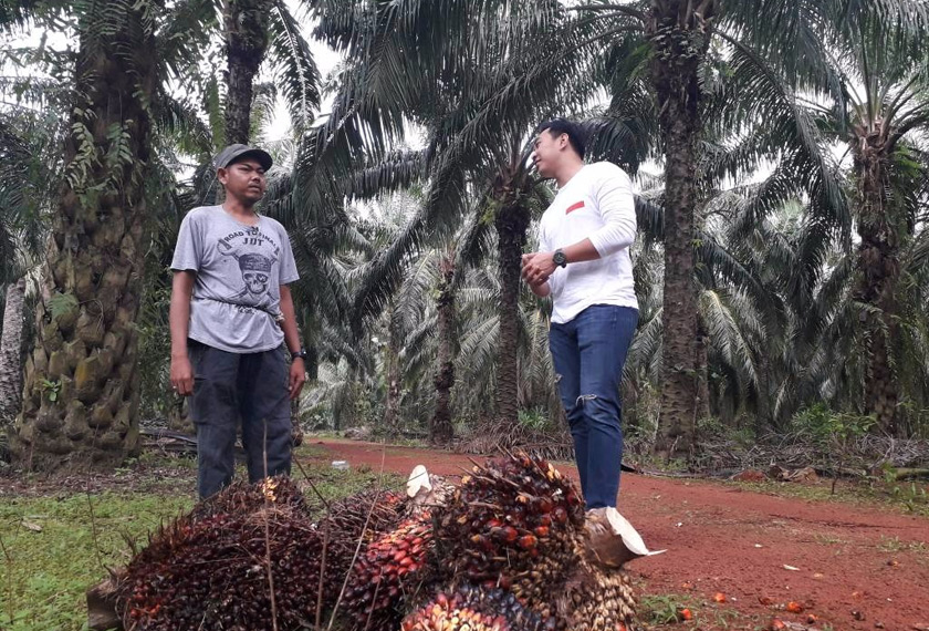 Abdul Manan Abdul Rahman berkata, pendapatan di kampung adalah rendah tetapi kesejahteraan hidup di kampung adalah lebih penting. 