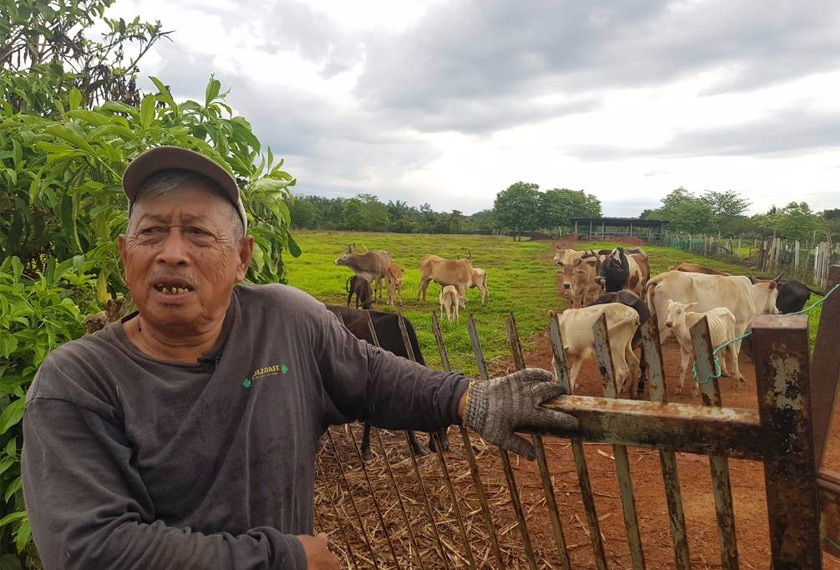 Cikgu Ilyas Arshad ditemui berdekatan kawasan penternakan lembu di Lenga, Bukit Kepong.