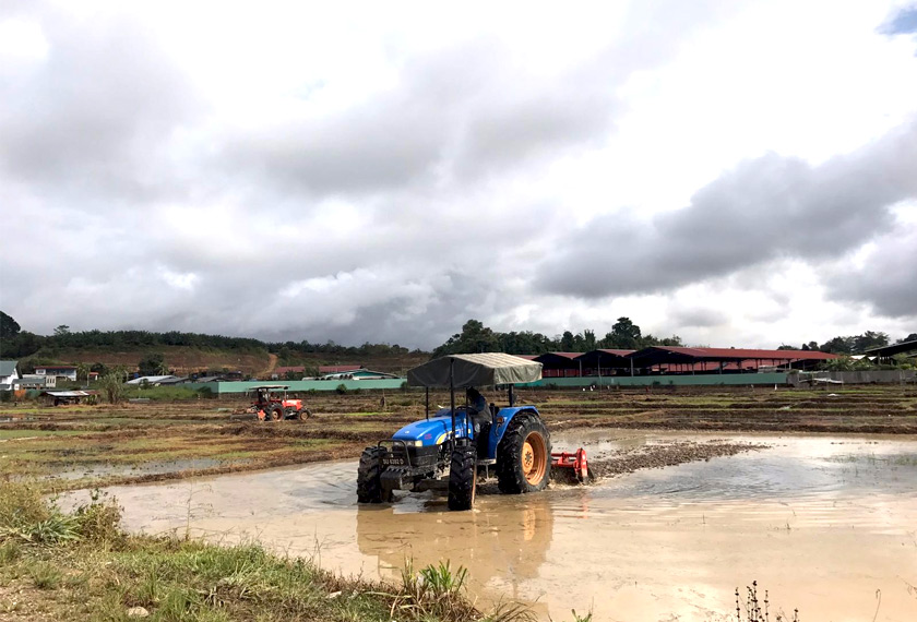 Kerjaya sebagai pesawah menjadi pilihan Mastura untuk menjana pendapatan, selain dapat menguruskan keluarga dan menjaga anak-anaknya. Astro AWANI / TAN SU LIN