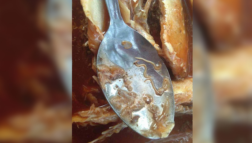 Cacing yang ditemui dalam produk ikan sardin dari negara China. Foto: Twitter/@DGHisham