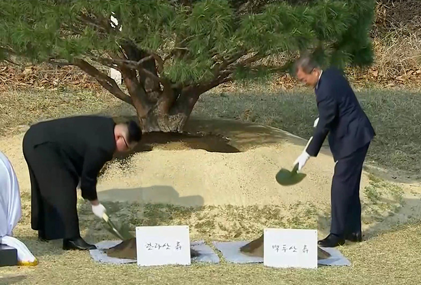 Kedua-dua pemimpin mengambil bahagian menanam pokok pain sebagai simbol kedamaian - Foto Reuters