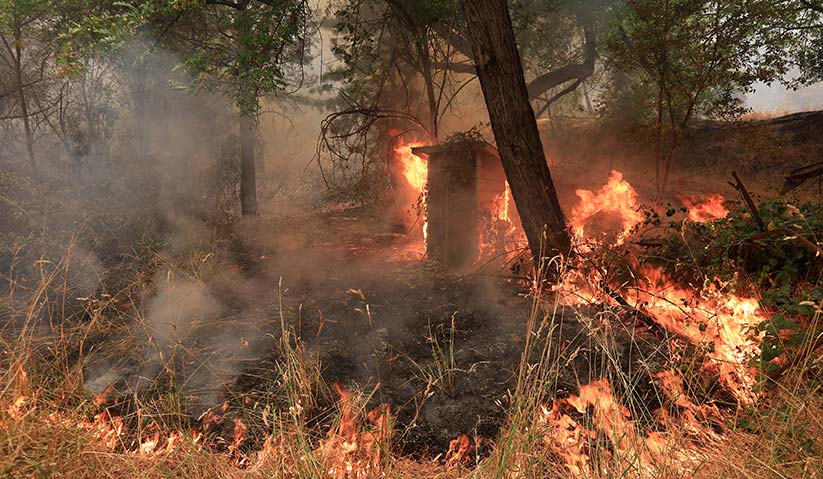 Dianggarkan lebih 38,000 penduduk di Redding telah dipindahkan ke kawasan selamat. -Reuters