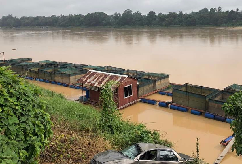 Aktiviti pam pasir yang berleluasa juga boleh menyebabkan sangkar rosak.