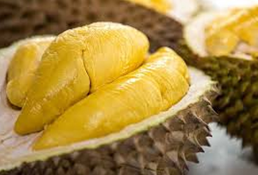 Durian, walaupun aromanya ada yang mnegatakan kurang enak, tetapi isinya amat digemari.