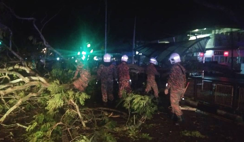 Kerja pembersihan susulan kejadian pokok tumbang sedang dijalankan di George Town malam tadi. Foto JBPM