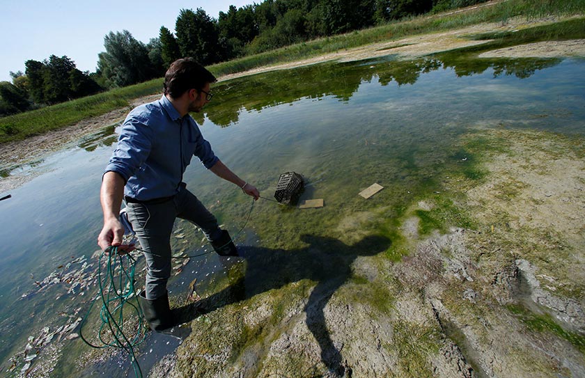 Martens cuba menangkap udang krai di salah sebuah kolam di Rheinstetten, Jerman. - Reuters