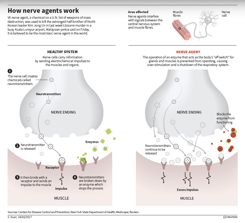 Cara agen saraf VX berfungsi