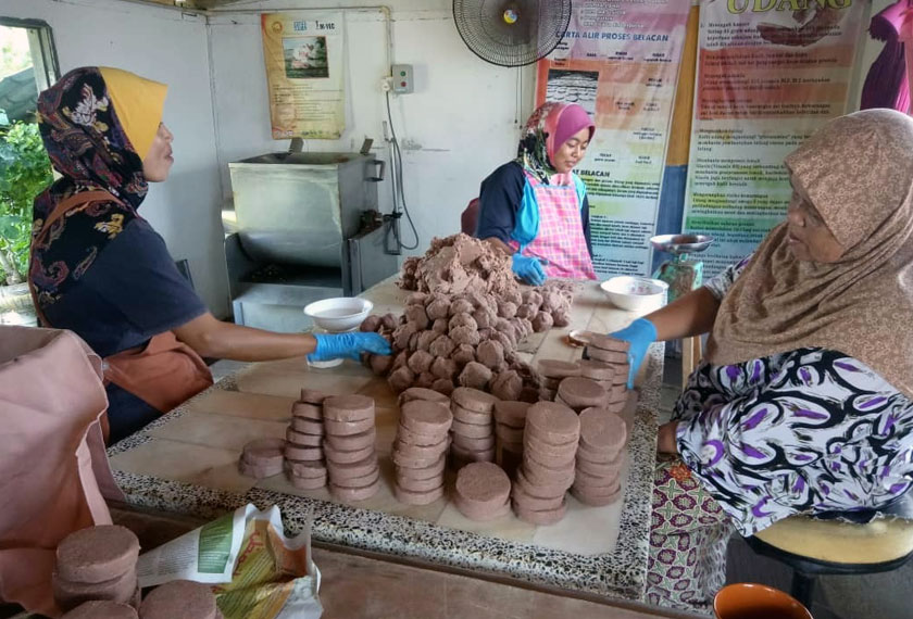 Belacan Kuala Perlis.