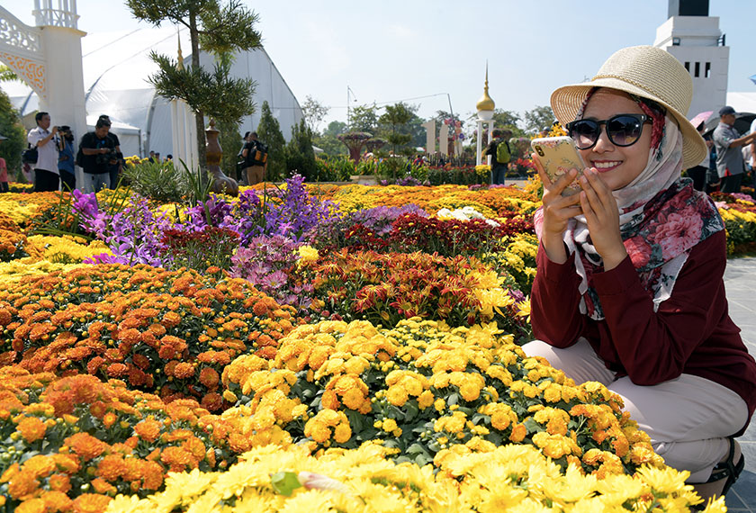 Seorang pengunjung Floria Diraja Putrajaya tidak melepaskan peluang mengambil gambar hamparan bunga-bungaan yang mencuri tumpuan. - Bernama