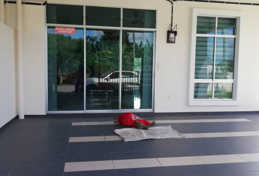 nota itu diletakkan bersama bangkai anak lembu memakai t-shirt Pakatan Harapan di Pusat Khidmat Dewan Undangan Negeri (DUN) Simpang Jeram Muar Ahad lalu.