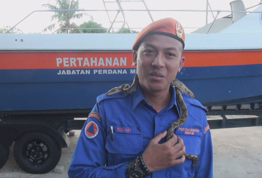 Shahrul berkata, ini merupakan pengalaman pertama berdepan ular tedung selar yang besar dan agresif.