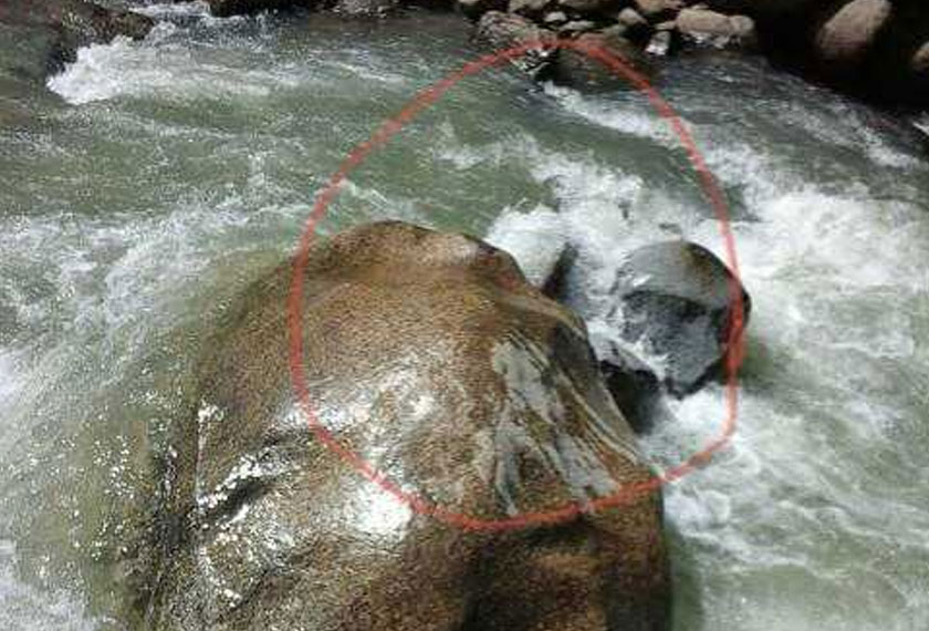 Ini dipercayai batu tempat mangsa dikatakan terjatuh.