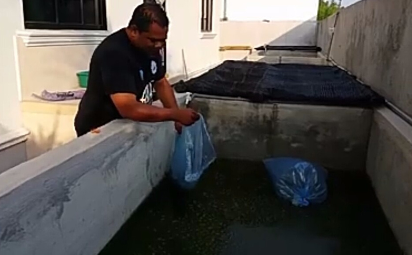 Projek yang mengkhususkan kepada penternakan ikan keli ini bermula sejak September 2017 lalu dan dijalankan dengan modal awal sebanyak RM3,000.