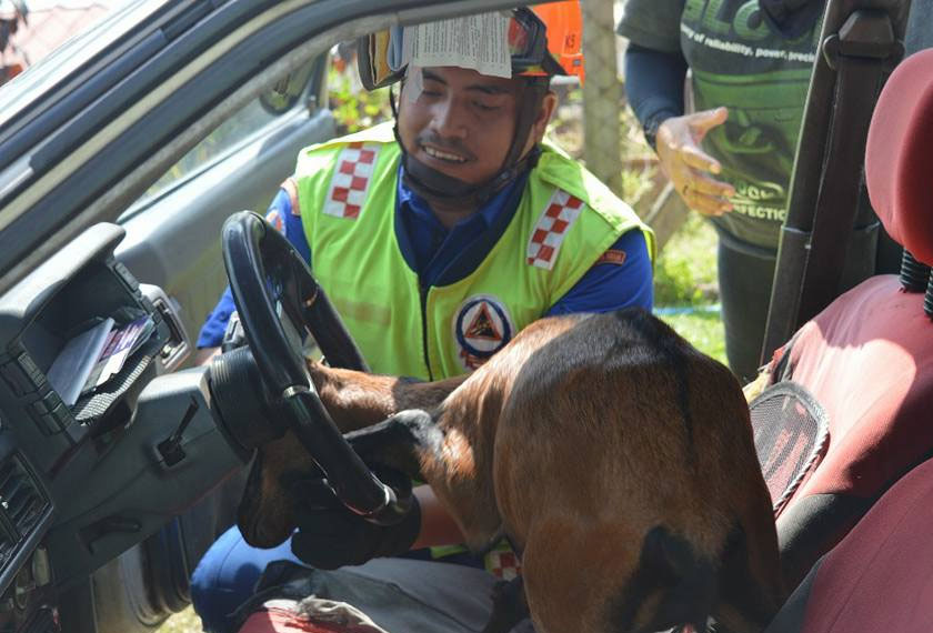 kepala kambing itu turut tersepit di stereng sebuah kereta jenis Proton Saga milik seorang wanita berumur 45 tahun yang hanya mahu dikenali sebagai Kc My Sha