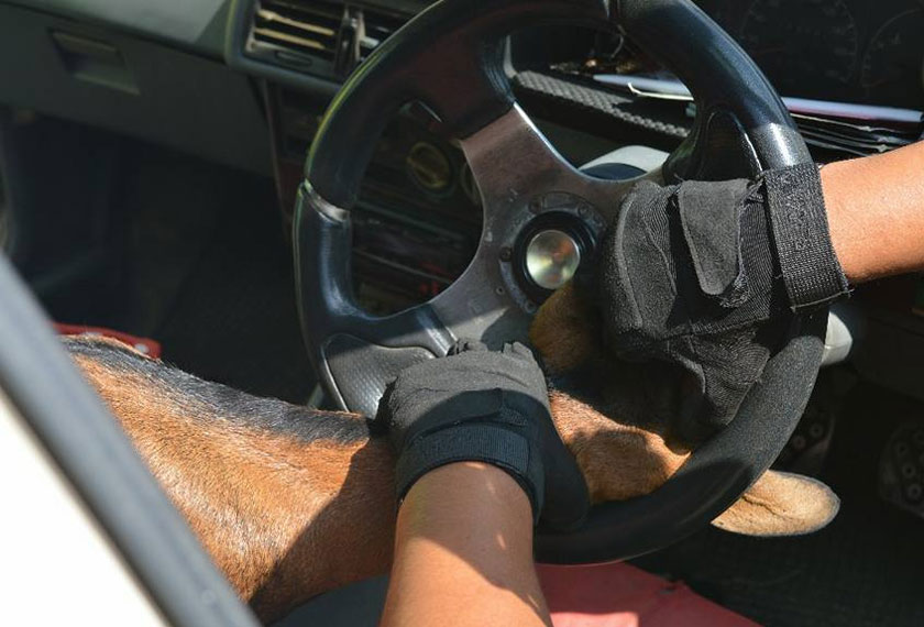 kambing itu berjaya dikeluarkan oleh Angkatan Pertahanan Awam (APM) petang semalam