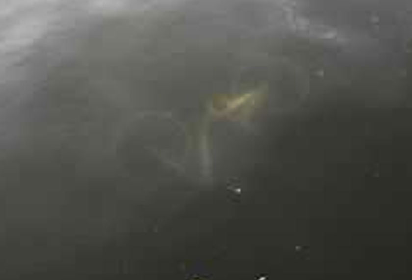 Disebabkan sikap segelintir masyarakat yang tidak mempunyai tanggungjawab dan tiada kesedaran sivik, basikal ini akhirnya menjadi mangsa vandalisme. Hasilnya, terdapat banyak basikal yang dirosakkan, beberapa komponen dicuri, malah terdapat juga yang dicampak ke dalam tasik. “Saya berpendapat, kurangnya kesedaran sivik mengakibatkan perkara ini berlaku,”jelas seorang pereka grafik, Wong, ketika ditemui oleh Astro Awani. Bagi seorang arkitek, Syahrul Nizam, beliau kecewa basikal itu dirosakkan kerana kemudahan yang diberikan sepatutnya dihargai untuk kegunaan semua masyarakat. Terdapat beberapa pembaca yang berkongsikan keadaan basikal Obike yang telah dirosakkan oleh ‘tangan-tangan jahat’. Adakah ini masyarakat yang kita mahukan dalam keadaan negara sedang menuju Wawasan 2020 dan juga Transformasi Nasional 5050?