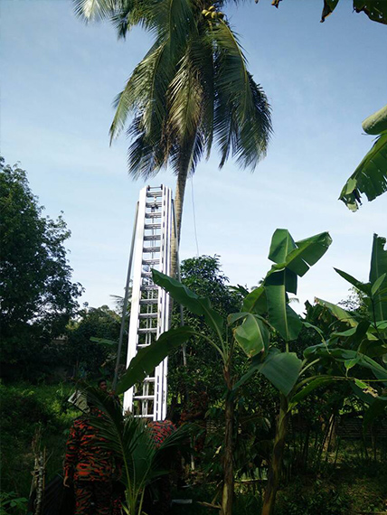 JBPM terpaksa menggunakan tangga untuk membawa turun beruk gayat itu.