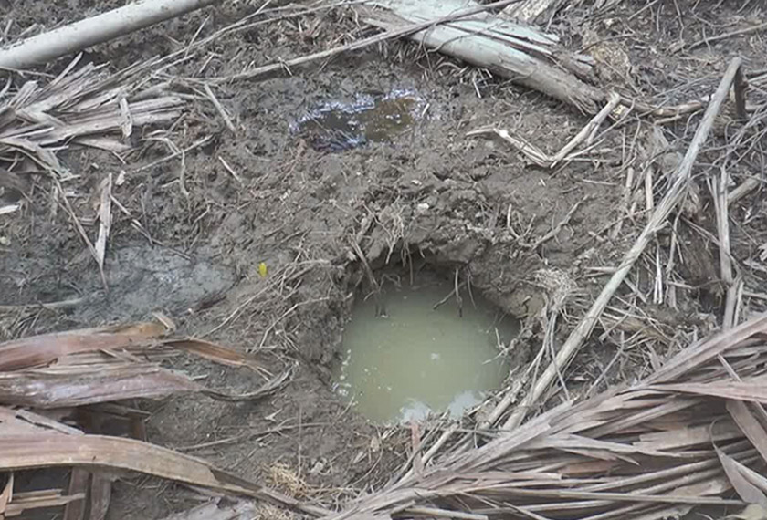 Tapak kaki gajah kelihatan di kawasan hutan yang ditebang. - Astro AWANI