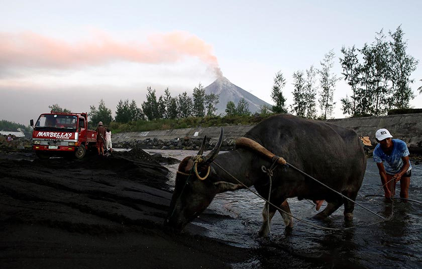 Quitin Velardo, 59, seorang petani mahu pulang ke kampungnya bagi memastikan keselamatan kerbaunya. - Reuters