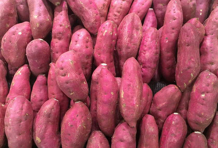 Kajian menunjukkan keledek kaya dengan polifenol, lutein, vitamin A dan B, kalsi