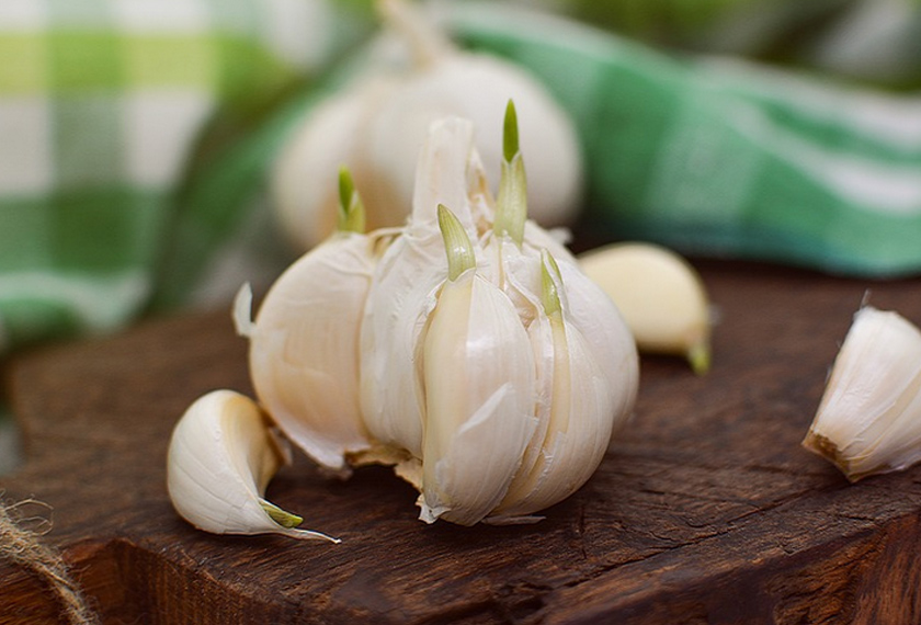 Bawang putih menghasilkan antioksidan yang kuat yang melindungi tubuh daripada diserang kuman. FOTO: pixabay.com