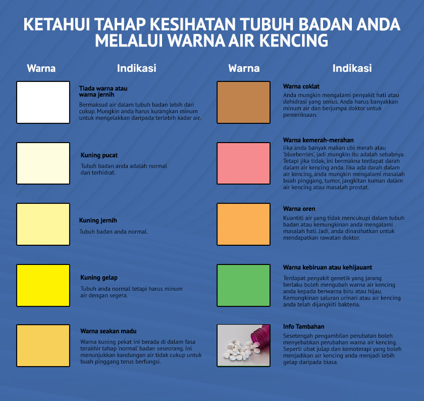 Air kencing mempunyai pelbagai warna. Biasanya terdiri daripada warna kuning jernih, warna kuning pekat seperti madu dan boleh bertukar menjadi warna coklat. Berdasarkan warna air kencing, anda boleh tentukan tahap kesihatan tubuh badan anda.