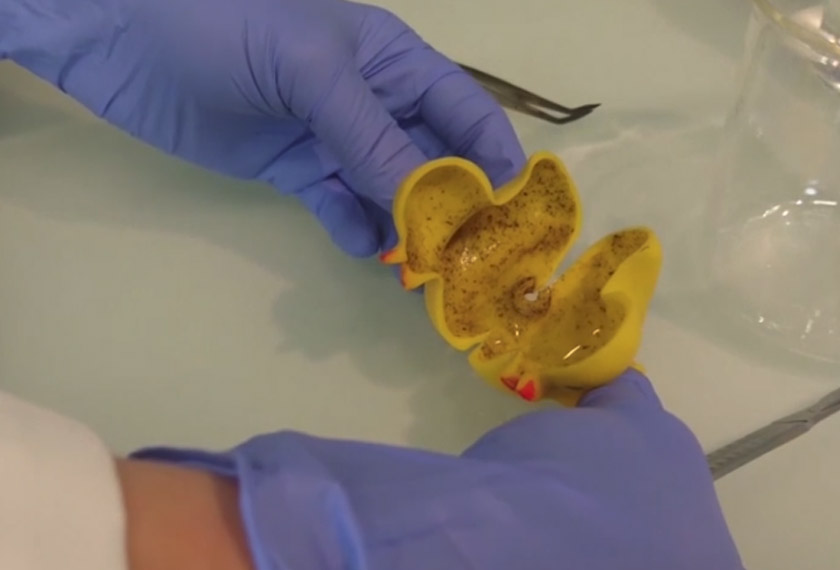 Jijik! inilah realiti bahagian dalam itik getah - Foto Time.com