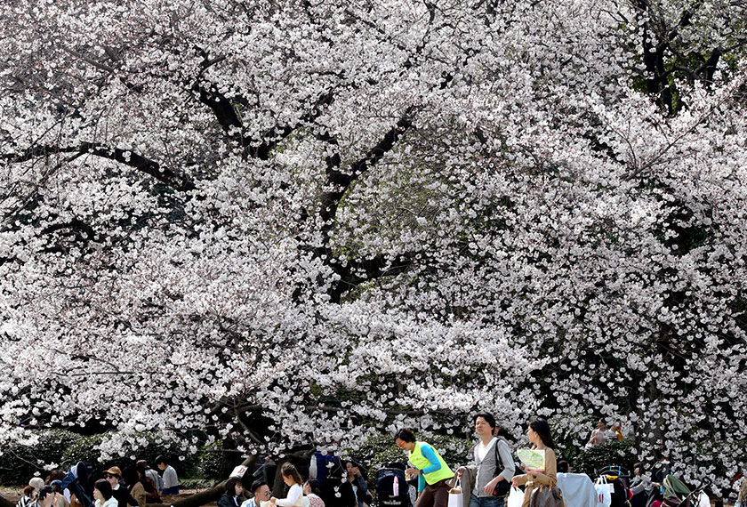 Bagaikan berada di alam fantasi. - Reuters