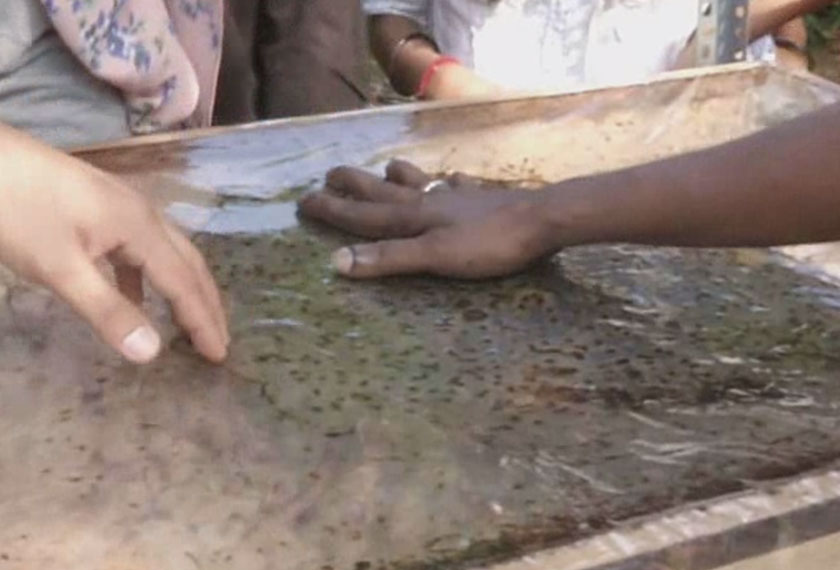 Saravanan memulakan perusahaan madu kelulut dengan modal RM35,000 untuk membeli 10 sarang lebah dan peralatan untuk memproses madu. - Foto Astro AWANI/Hakim Rahman