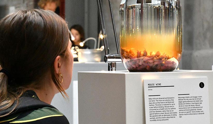 Antara pengunjung yang hadir menyaksikan 'menu' bangkai tikus dalam wain Cina di Disgusting Food Museum, Sweden. -Foto Reuters