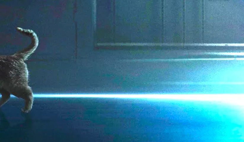 Kelihatan punggung seekor kucing di dalam poster filem 'Captain Marvel'.