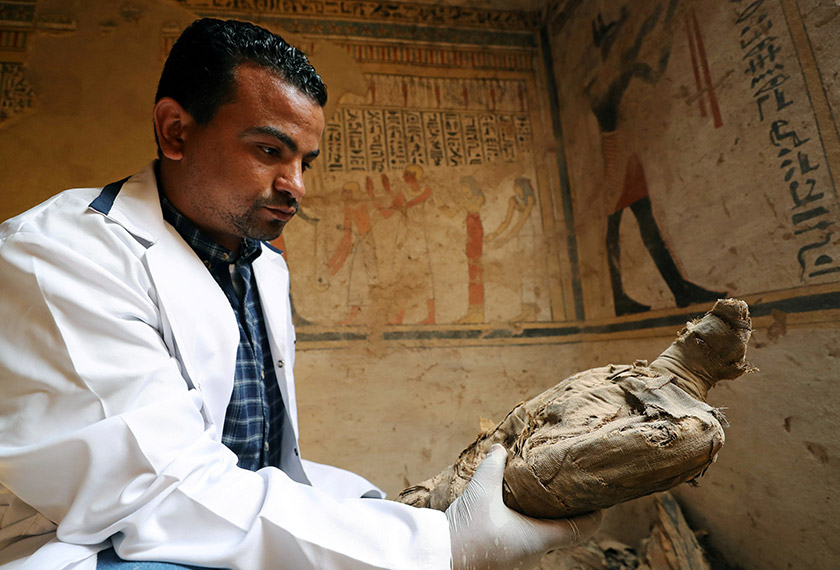 Pakar arkeologi melihat satu mumia burung yang disimpan dalam makam tersebut. - Reuters