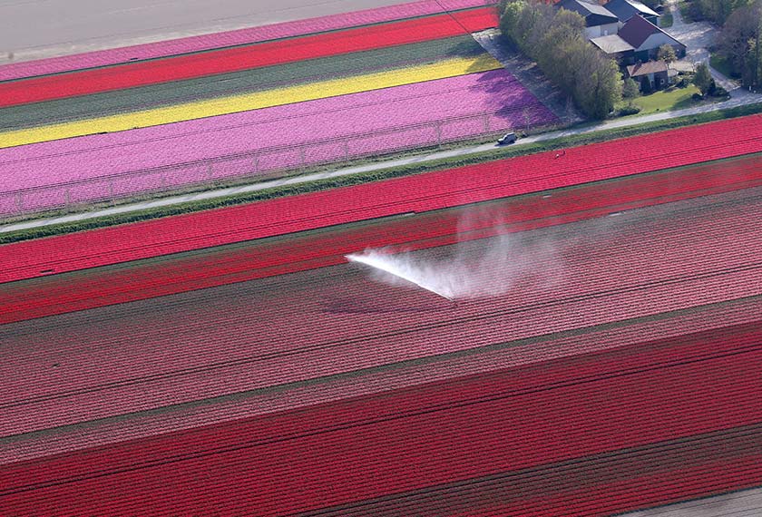 Hamparan berwarna-warni dari pandangan udara. - Reuters