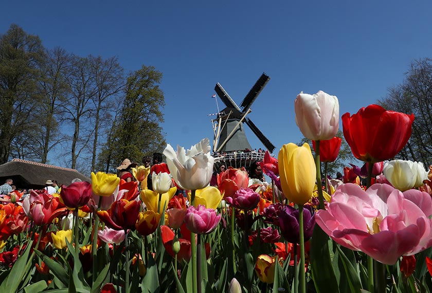 Pemandangan seperti ini memang menjadi kesukaan para pencinta fotografi. - Reuters