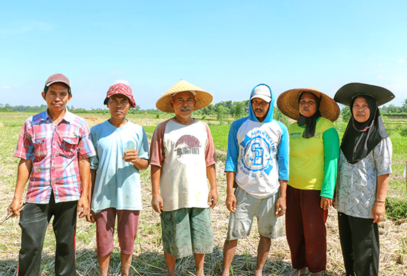  Purata pendapatan bulanan rakyat meningkat dari IDR286,100 pada 2014 kepada IDR401,600 pada 2018. Kampung-kampung juga kini mengambil pekerja tambahan seramai kira-kira 170,000 orang setiap tahun. Pasukan Ceritalah